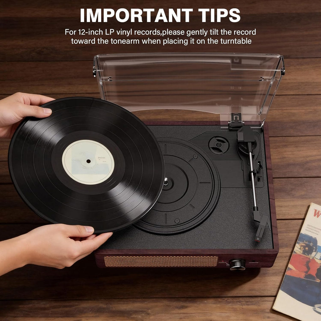 Vinyl Record Player Turntable