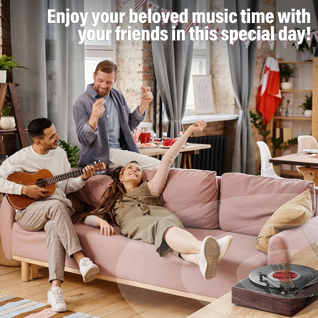 Vinyl Record Player Turntable